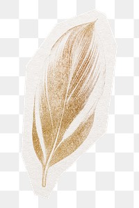 Golden feather png sticker, cut out paper design, transparent background