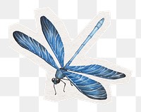 Blue dragonfly png sticker, cut out paper design, transparent background