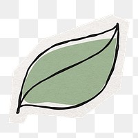 Hand drawn leaf png sticker, cut out paper design, transparent background