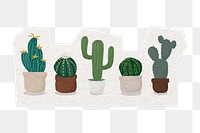 Cactus pot png sticker, cut out paper design, transparent background