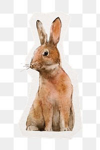 Rabbit png sticker, cut out paper design, transparent background