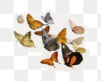 Vintage butterfly png sticker, cut out paper design, transparent background