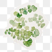 Watercolor leaf png sticker, cut out paper design, transparent background