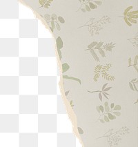 Aesthetic png border, torn paper design, transparent background