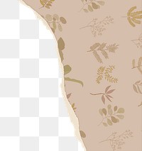 Brown botanical png border, torn paper design, transparent background