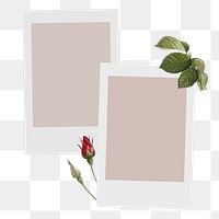 Aesthetic png sticker instant photo, botanical design, transparent background