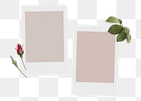 Aesthetic png sticker instant photo, botanical design, transparent background