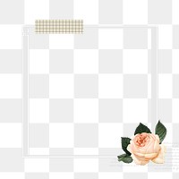 Instant photo png frame, aesthetic rose design, transparent background