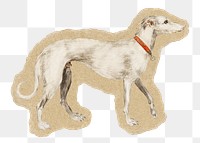 Greyhound dog png sticker, ripped paper transparent background