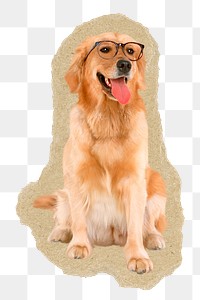 Golden Retriever dog png sticker,  ripped paper transparent background