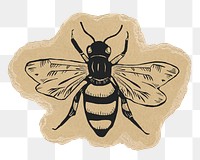 Bee doodle png sticker, torn paper transparent background