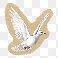 Dove png sticker, torn paper transparent background