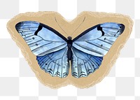 Blue butterfly png sticker, torn paper transparent background