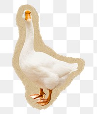 Goose png sticker, torn paper transparent background