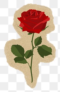 Red rose png sticker, torn paper transparent background