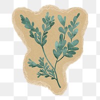 Leaf png sticker, torn paper transparent background