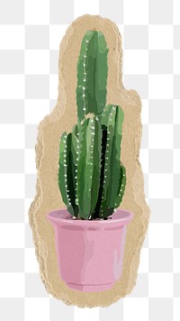 Cactus png sticker, torn paper transparent background