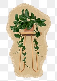 Houseplant png sticker, torn paper transparent background