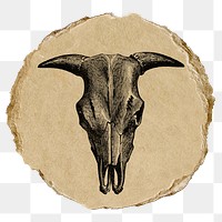 Sheep skull png sticker, ripped paper, transparent background
