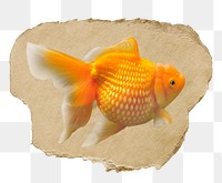 Goldfish png animal sticker, ripped paper, transparent background