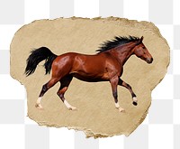 Running horse png animal sticker, ripped paper, transparent background