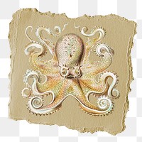 Octopus png animal sticker, ripped paper, transparent background