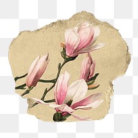 Pink magnolia png flower sticker, ripped paper, transparent background