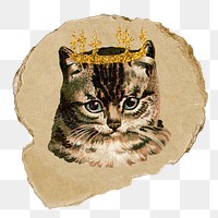 Kitten wearing png crown animal sticker, ripped paper, transparent background