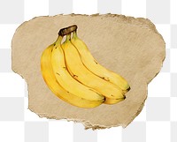 Banana, fruit png sticker, ripped paper, transparent background