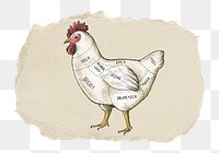Chicken diagram png sticker, ripped paper, transparent background