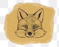 Vintage fox illustration png sticker, transparent background