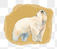 Polar bear png sticker, ripped paper, transparent background