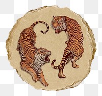 Roaring tigers png sticker, ripped paper, transparent background