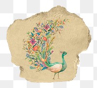 Beautiful peacock png sticker, ripped paper, transparent background