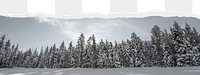 Winter forest png border sticker on ripped paper transparent background