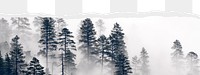 Foggy forest png border sticker on ripped paper transparent background transparent background