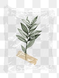 Leaf branch png plastic bag sticker, botanical concept art on transparent background