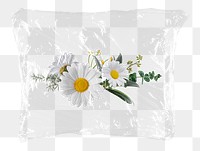 White daisy png flowers plastic bag sticker, Spring concept art on transparent background