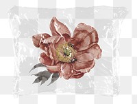 Dried pink png flower plastic bag sticker, Autumn concept art on transparent background