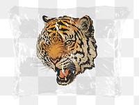 Roaring tiger png plastic bag sticker, wildlife concept art on transparent background