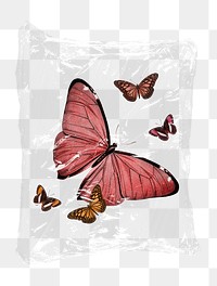 Aesthetic butterflies png plastic bag sticker, spirit animal concept art on transparent background