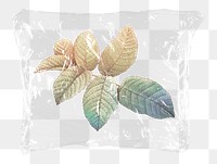 Png dried gradient leaf plastic bag sticker, Autumn concept art on transparent background