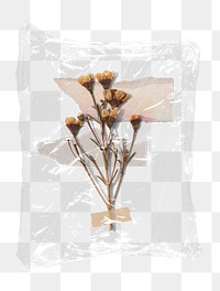 Dried flower png plastic bag sticker, Autumn concept art on transparent background