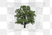 Lone tree png plastic bag sticker, nature, environment concept art on transparent background