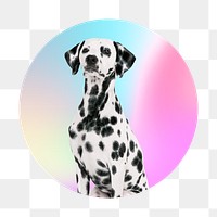 Dalmatian dog png, round badge, transparent background