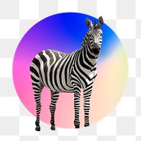 Zebra png, round badge, transparent background