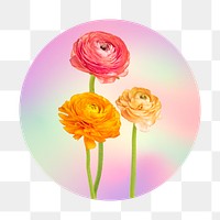 Rose png on gradient shape, round badge in transparent background