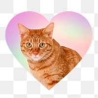 Cute tabby cat png, heart badge design in transparent background