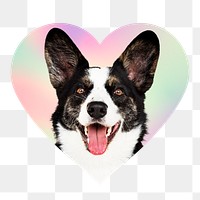 Border collie dog png, heart badge design in transparent background