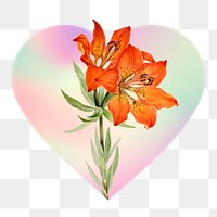 Png Lily flowers on gradient background on gradient shape, heart badge design in transparent background